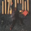 הפירמה - ג'ון גרישם