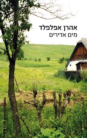 מים אדירים - אהרן אפלפלד