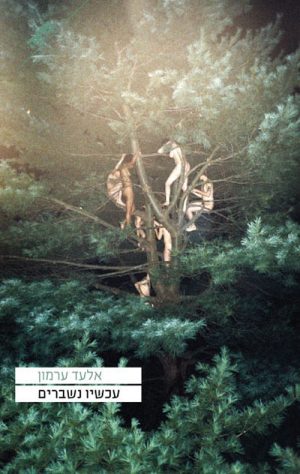 עכשיו נשברים - אלעד ערמון