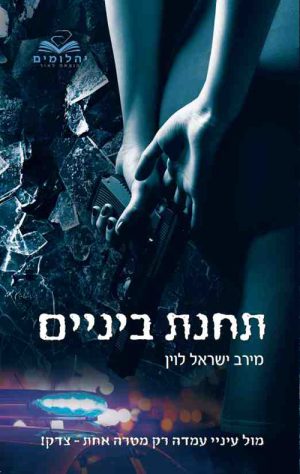 תחנת ביניים - מירב ישראל לוין